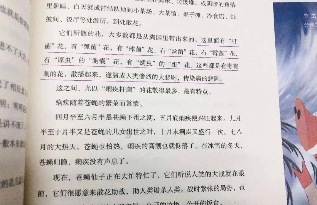 植物大战僵尸8